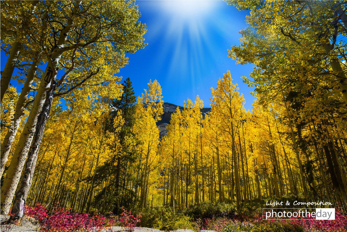 Kenosha Pass in Fall by Zara Otaifah - Fall Photography, Nature Photography, Photo of the Day, Photography Awards, Light & Composition University