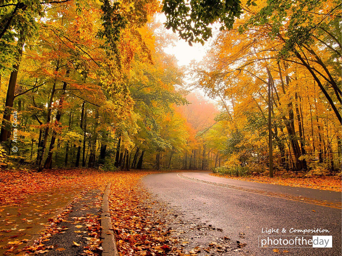 Winter Wonderland by Anna Cicala - Nature Photography, Winter Photography, Photo of the Day, Award Winning Photography, Photography Education