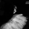 Art Photography, Photo of the Day, Award-Winning Photography, Evdokiya Witwicki, Photography Awards – The Swan by Evdokiya Witwicki The Swan by Evdokiya Witwicki - Art Photography, Photo of the Day, Award-Winning Photography, Evdokiya Witwicki, Photography Awards