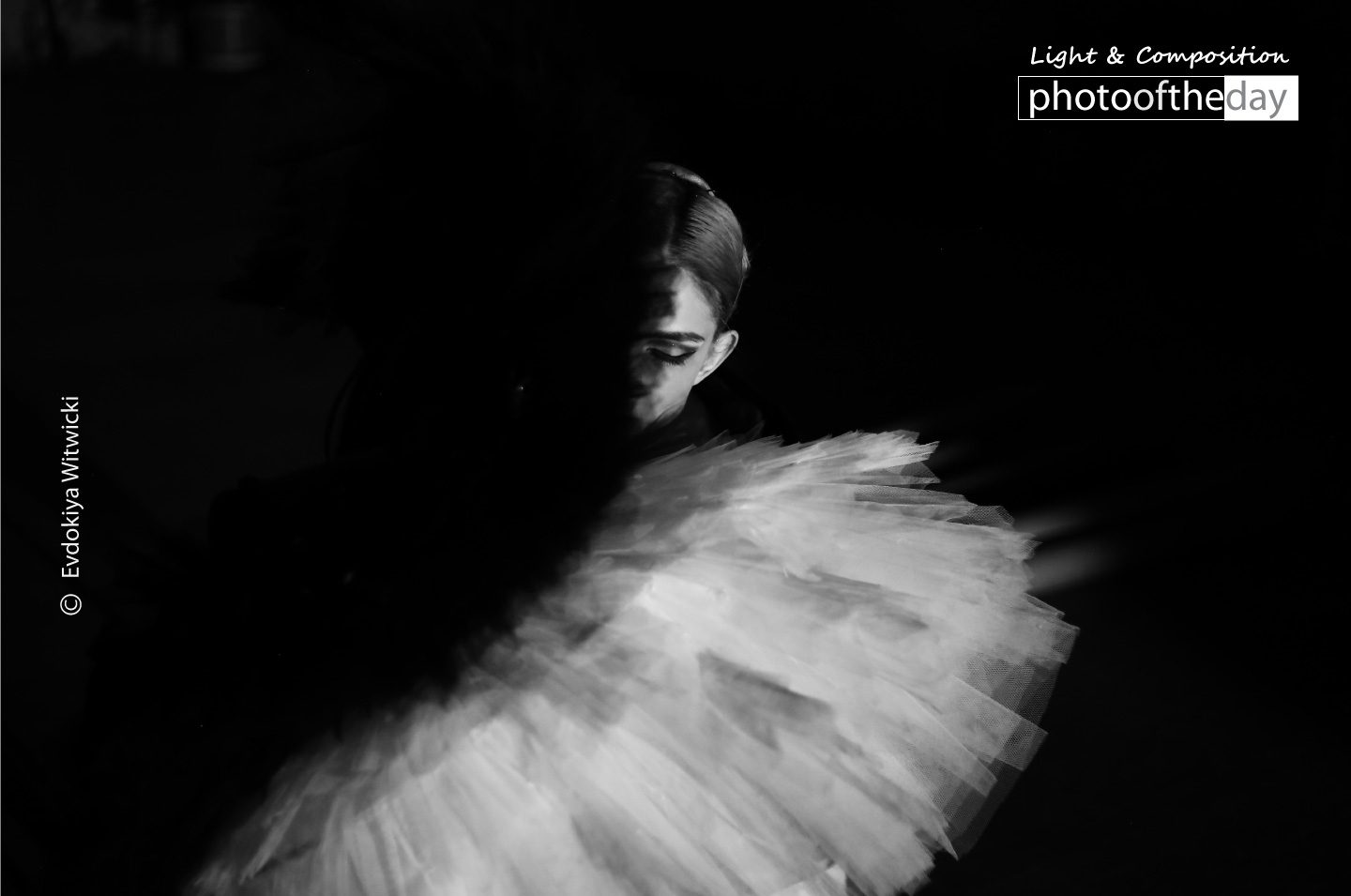 Art Photography, Photo of the Day, Award-Winning Photography, Evdokiya Witwicki, Photography Awards - The Swan by Evdokiya Witwicki The Swan by Evdokiya Witwicki - Art Photography, Photo of the Day, Award-Winning Photography, Evdokiya Witwicki, Photography Awards