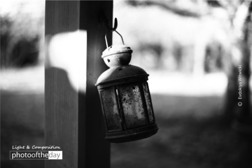 Waiting by Evdokiya Witwicki - Photo of the Day, Still Life Photography, Award Winning Photography, Evdokiya Witwicki, Photography Awards