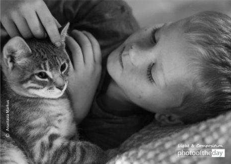 The Boy and a Kitten by Anastasia Markus - Photojournalism, Portrait Photography, Award-Winning Photography, Photo of the Day, Anastasia Markus