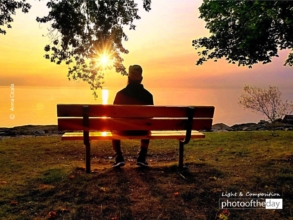 Nature Photography, Photography Awards, Photo of the Day, Online Photography Courses, Art Photography - A World of Octobers by Anna Cicala A World of Octobers by Anna Cicala - Nature Photography, Photography Awards, Photo of the Day, Online Photography Courses, Art Photography