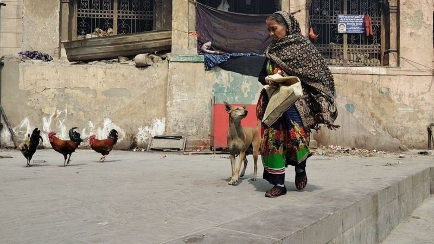 Seeking Hope by Aman Raj Sharma - Photojournalism, Documentary Photography, Photo of the Day, Aman Raj Sharma, Hopeful Photography