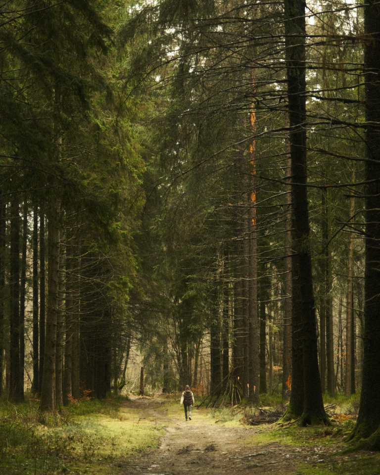 Recalling Man's Place In Nature by Arnaud Vlaminck - Nature Photography, Photo of the Day,  Art Photography, Photography Awards, Online Photography Courses