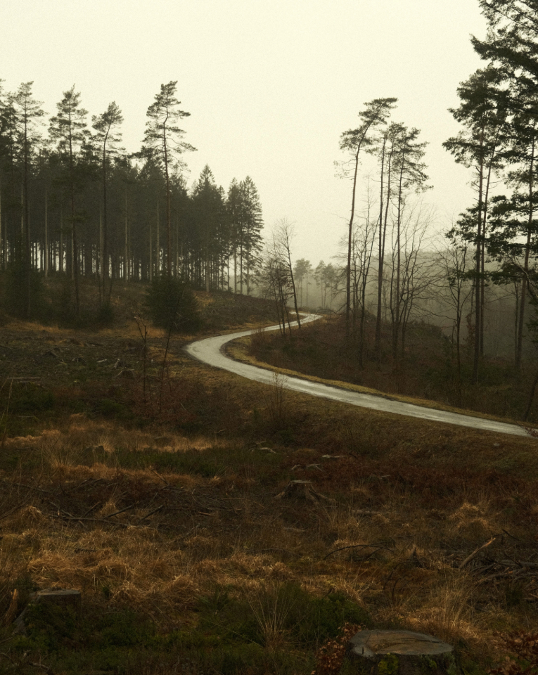 Photojournalism, Art Photography, Nature Photography, Arnaud Vlaminck, Photography Awards - Road Through A Dying Landscape by Arnaud Vlaminck Road Through A Dying Landscape by Arnaud Vlaminck - Photojournalism, Art Photography, Nature Photography, Arnaud Vlaminck, Photography Awards