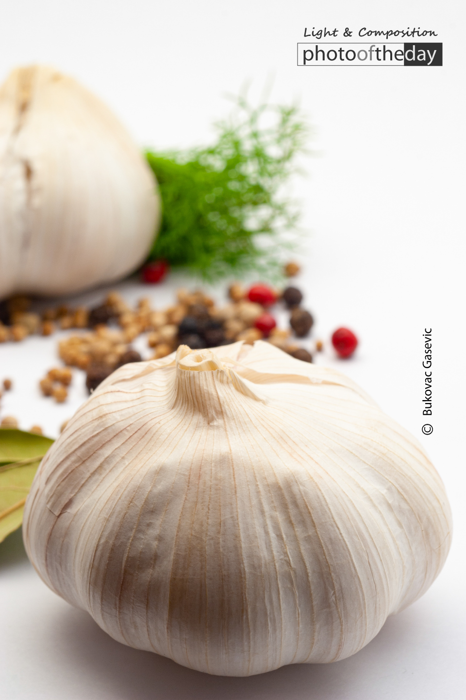 Savor the Essence of Garlic by Silvia Bukovac Gasevic - Art Photography, Still Life Photography, Food Photography, Photo of the Day, Light & Composition University