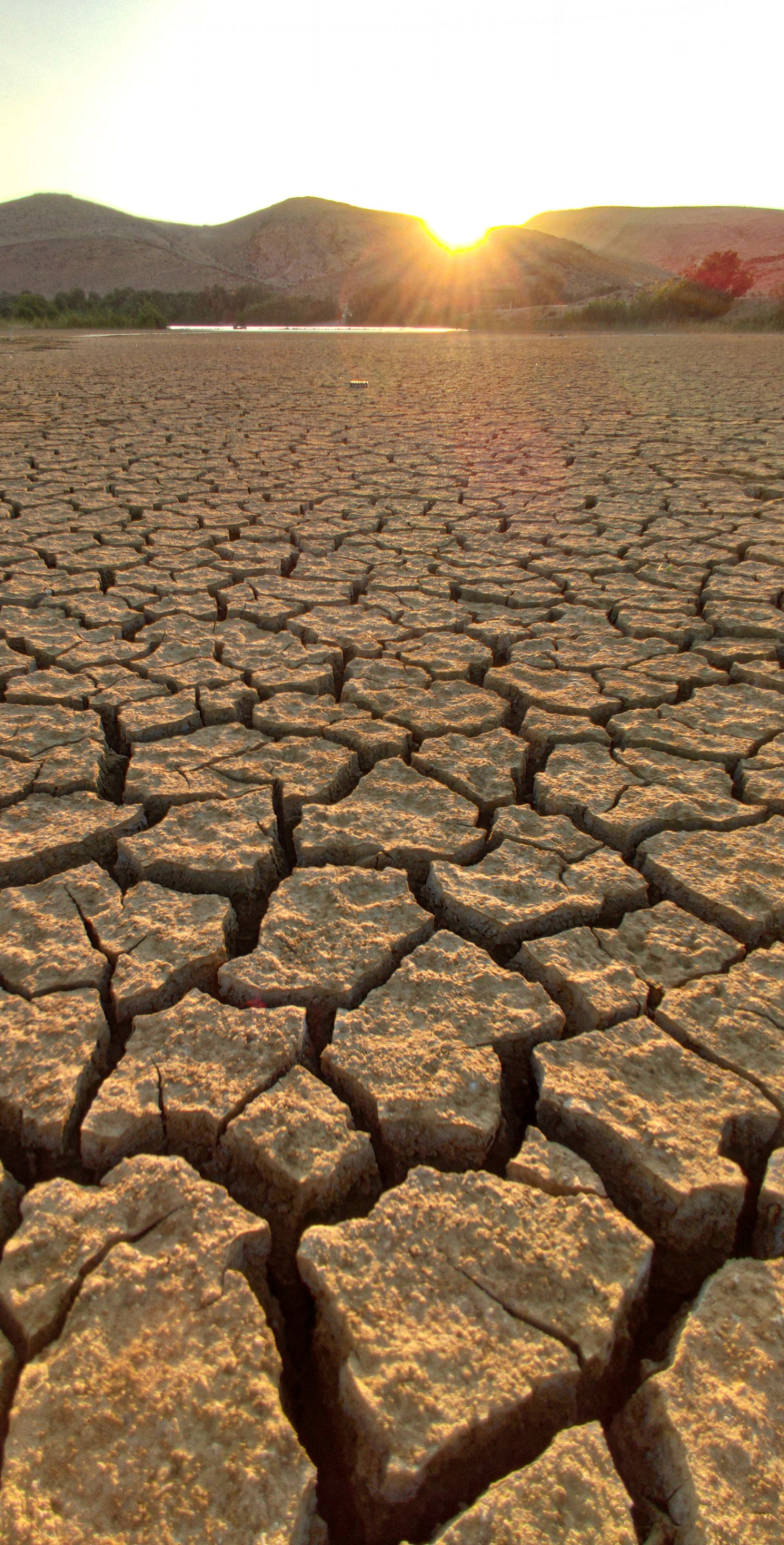 Sun-Drenched Land by Anastasia Markus - Photo of the Day, Landscape Photography, Nature Photography, Photography Awards, Light & Composition University