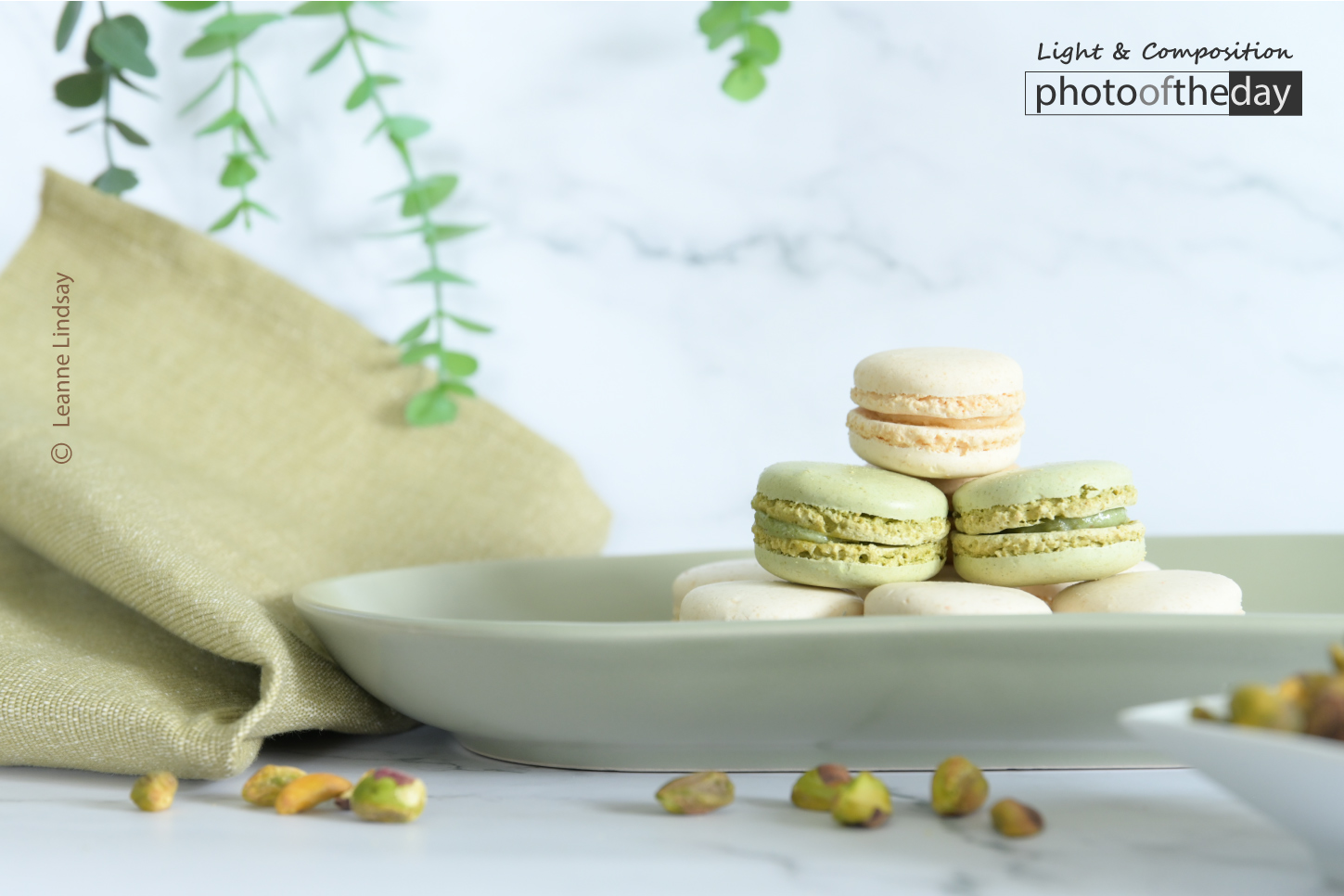 Food Photography, Macarons, Photography Education, Online Photography Courses, Light & Composition University - Vanilla and Pistachio Macarons by Leanne Lindsay Vanilla and Pistachio Macarons by Leanne Lindsay - Food Photography, Macarons, Photography Education, Online Photography Courses, Light & Composition University