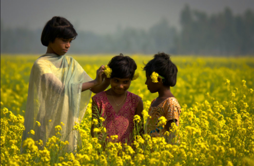 Vibrant Crowns of Natural Beauty by Shahnaz Parvin - Nature Photography, Award-Winning Photo, Photojournalism, Photography Awards, Light & Composition University