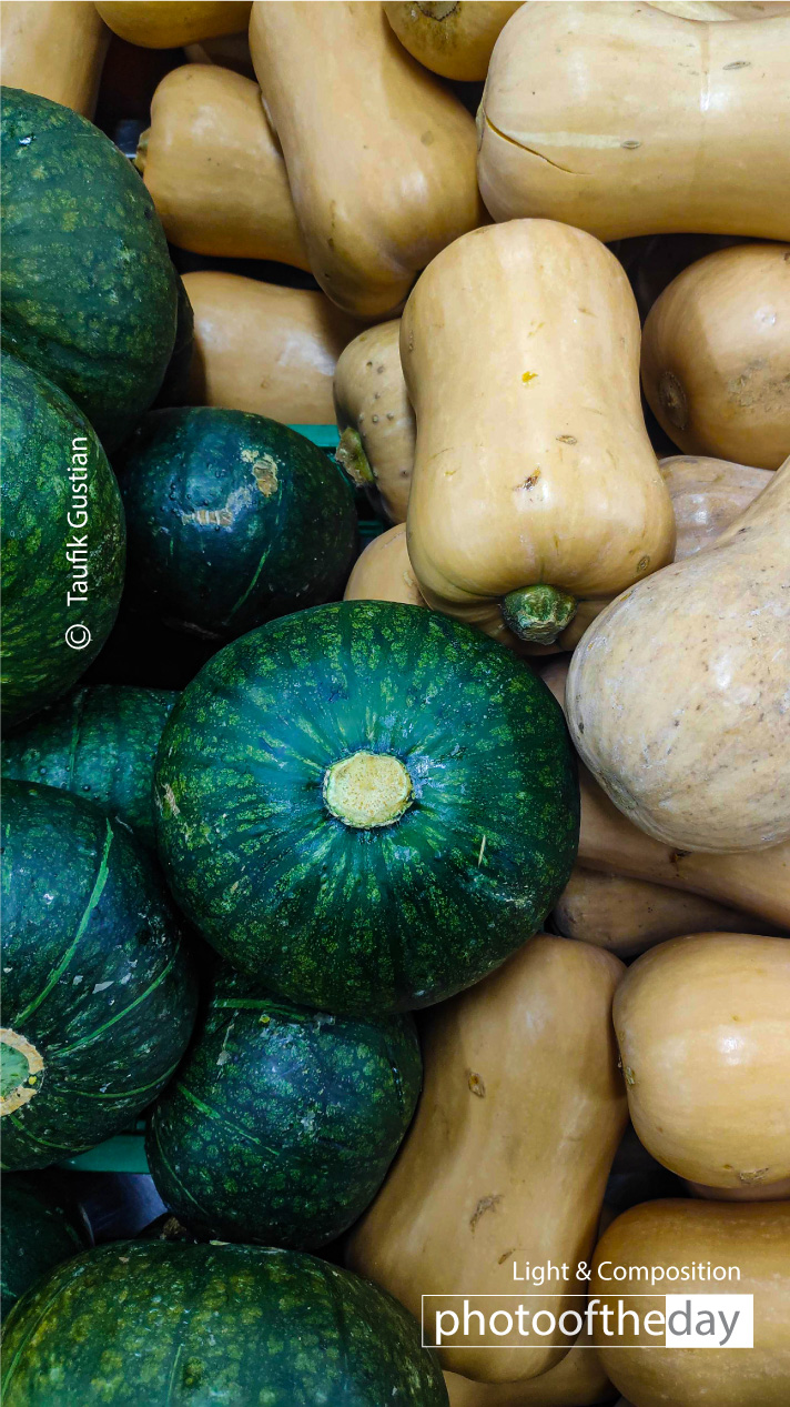 Art Photography, Still Life Photography, Photo of the Day, Photography Education, Online Photography Courses - Complementary by Taufik Gustian Complementary by Taufik Gustian - Art Photography, Still Life Photography, Photo of the Day, Photography Education, Online Photography Courses