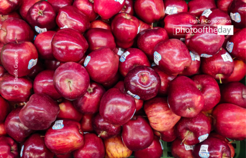 Composition in between of a Red by Taufik Gustian - Still Life Photography, Photo of the Day, Photography Awards, Online Photography Courses, Composition