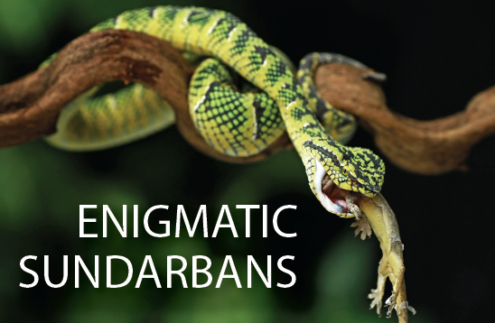 Light & Composition Photography Expeditions - Photography Expeditions, Photography Workshops, Photography Tours, Landscape Photography, Photography Education