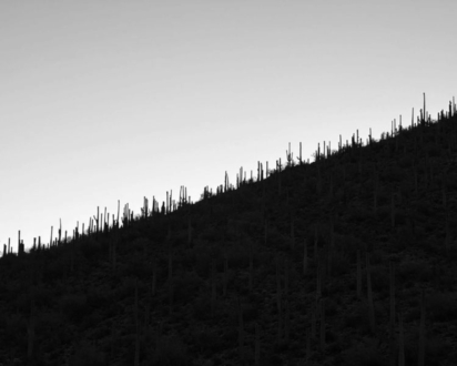 Tucson Twilight by Jack Hoye - Photo of the Day, Nature Photography, Desert Photography, Twilight Photography, Jack Hoye
