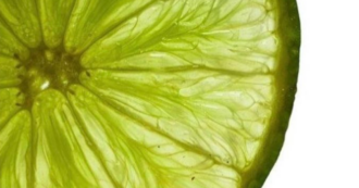 Noedelsoep by Mirjam Poldermans Hendriks - Food Photography, Art Photography, Photojournalism, Photography Education, Mirjam Poldermans Hendriks