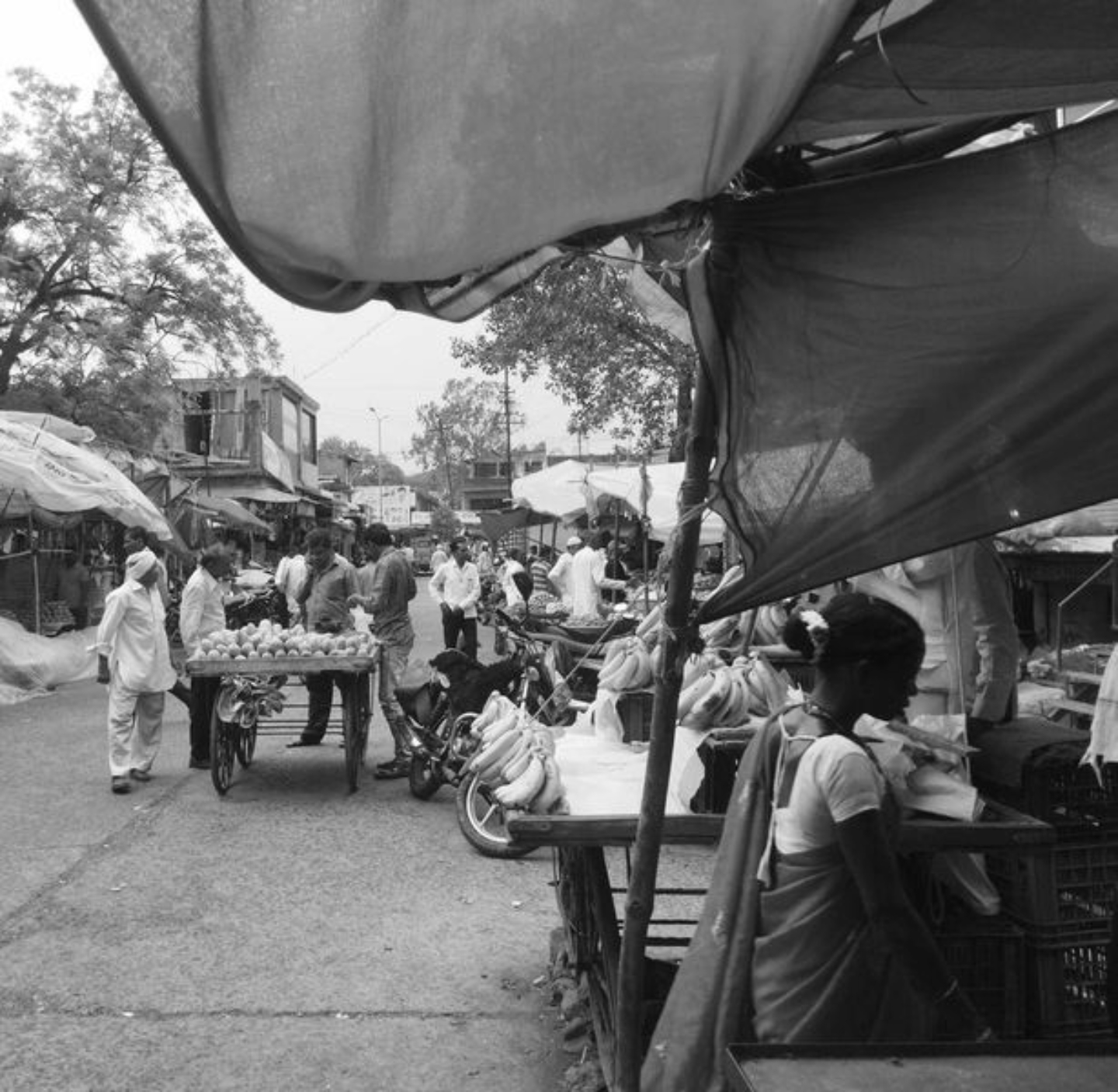 Echoes of Simplicity: Village Market by Janhavi Khanzode - Photojournalism, Photography, Black and White Photography, Art Photography, Online Photography Courses