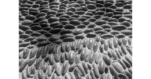 Road by Olga Kulemina - Art Photography, Photography Awards, Olga Kulemina, Fine Art Photography, Photojournalism