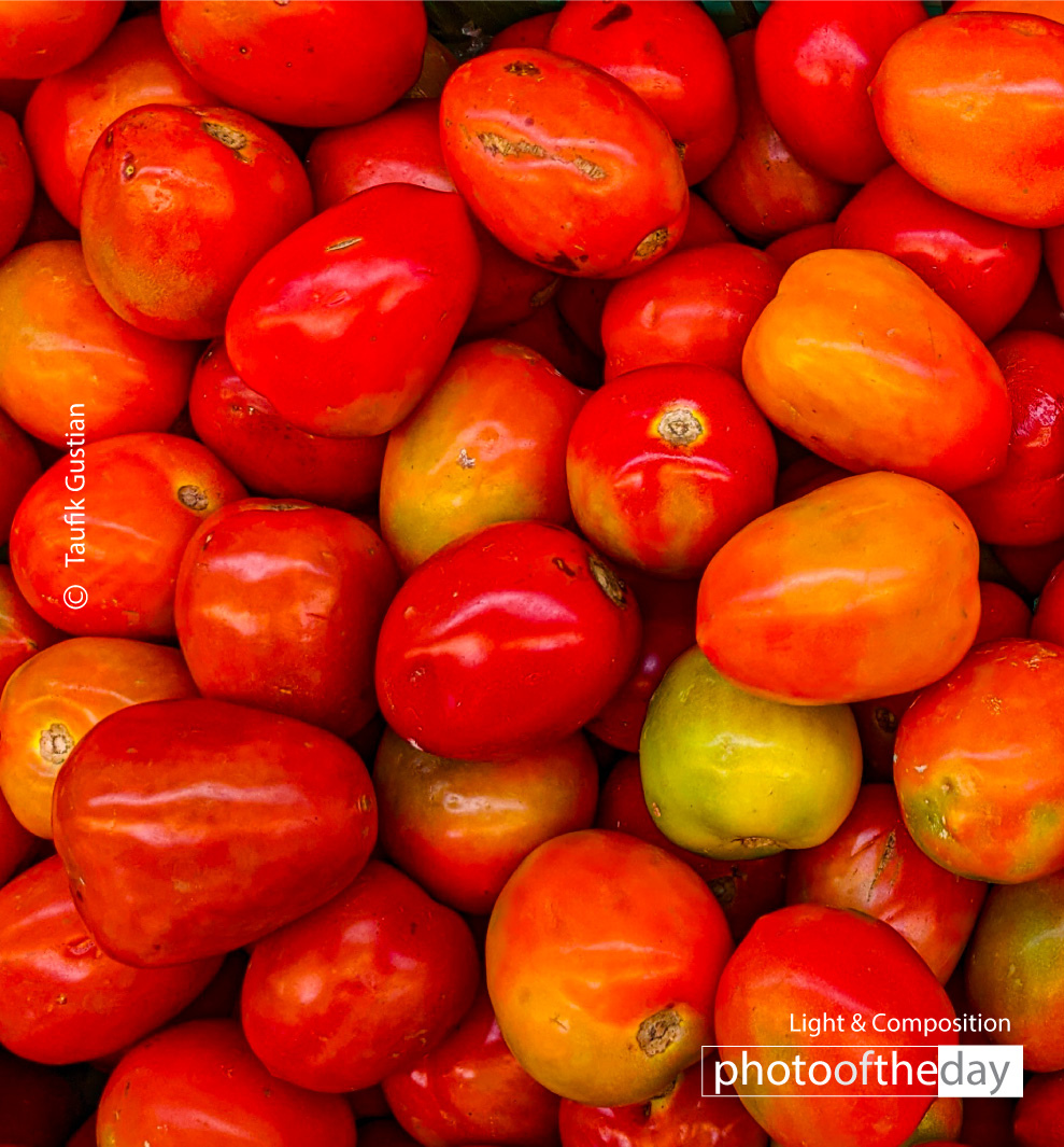 Green in between Red by Taufik Gustian - Still Life Photography, Photo of the Day, Photography Awards, Online Photography Courses, Art Photography