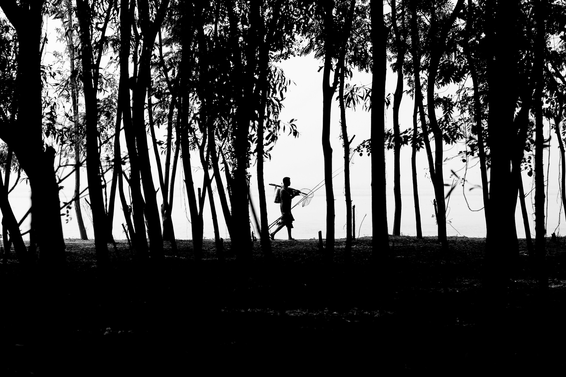 The Passage of Nature by Syed Asir Ha-Mim Brinto