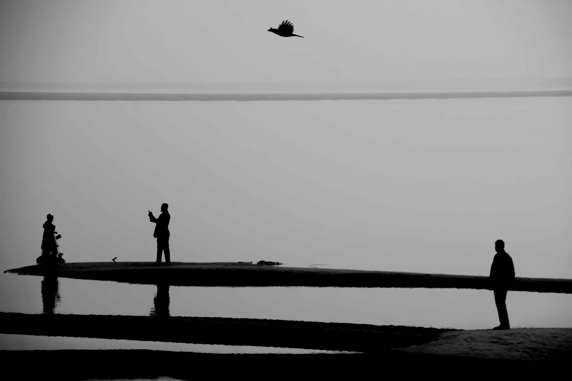 The Bird Who Saw It All by Syed Asir Ha-Mim Brinto