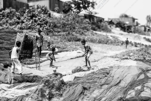 A Game of Cricket Amongst the Fishing Nets