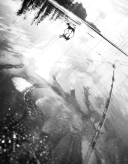 The Transient in Nature - Fine Art Photography Prints, Limited Edition Photography, Museum-Quality Photography,  Black and White Photography, Art Photography Prints