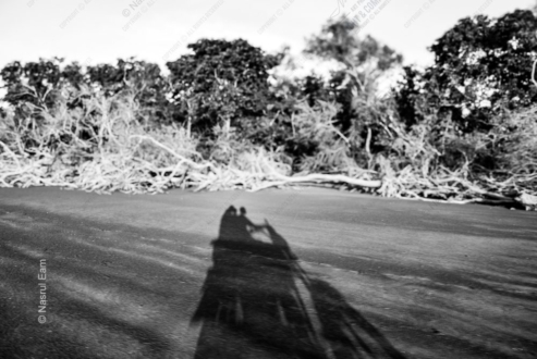 Shadow Figures on the Shore