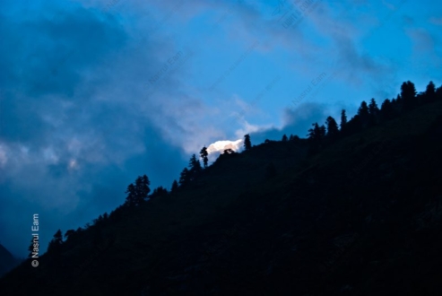 Light Behind the Forested Ridge - Landscape Photography Techniques, Forest Light Photography, Photography Composition Guide, Visual Storytelling Photography, Atmospheric Photography
