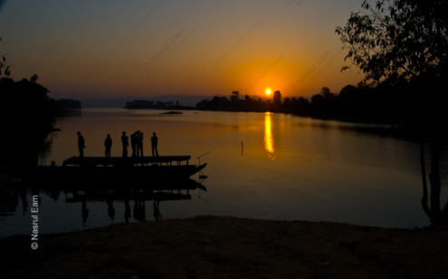 Sunset Gathering - Fine Art Photography Prints, Limited Edition Photography,  Museum-Quality Photography,  Luxury Photography Art,  Art Photography for Collectors