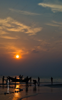 Sunset Toil - Fine Art Photography Prints, Limited Edition Photography, Luxury Photography Art,  Museum-Quality Photography,  Art Photography Prints