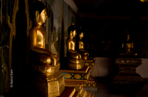 Suspended Animation - Fine Art Photography Print, Limited Edition Photography, Luxury Photography Art, Museum-Quality Photography,  Fine Art Photography