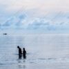 Two Bathers on a Silver Sea - Fine Art Photography Print, Limited Edition Photography, Museum-Quality Artwork,  High-End Photography Prints, Art Photography Collectors