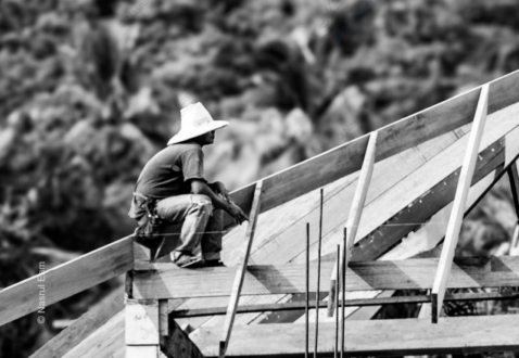 A Moment on the Rafters - Fine Art Photography Prints, Limited Edition Photography, Giclée Prints,  Museum-Quality Photography, Art Photography for Sale
