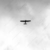 A Solitary Flight Against the Clouds - Fine Art Photography Print, Limited Edition Photography, Luxury Photography Art, Museum-Quality Photography, Contemporary Art Photography