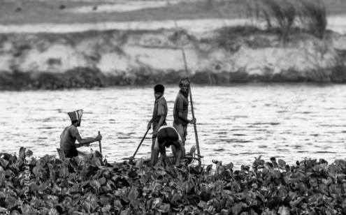 The Hyacinth Harvesters - Fine Art Photography Print, Limited Edition Photography, Monochrome Photography,  Art Photography for Sale,  Luxury Photography Art