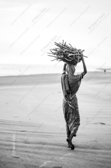 Her Solitary Journey