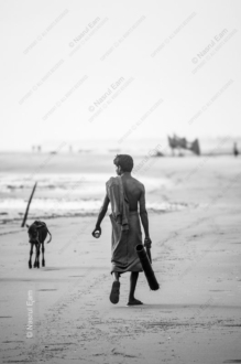 Coastal Wanderer and Companion