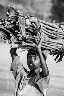 A Young Soul's Enduring Spirit