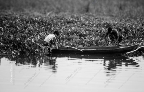 Two Boys in a Skiff Among Water Hyacinths - Fine Art Photography Prints, Limited Edition Photography, Black and White Photography,  Fine Art Print,  Photography Art