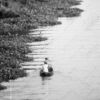 Two Figures in a Boat Along the Verdant Bank - Fine Art Photography Print, Limited Edition Photography, Luxury Photography Art, Black and White Photography,  Contemporary Art Photography