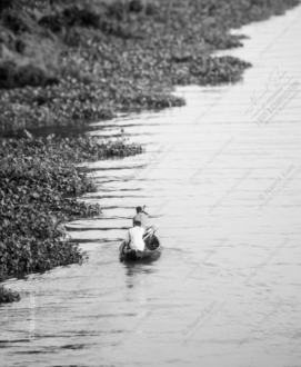 Two Figures in a Boat Along the Verdant Bank - Fine Art Photography Print, Limited Edition Photography, Luxury Photography Art, Black and White Photography,  Contemporary Art Photography