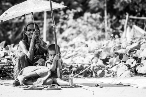 Beneath the Faded Canopy - Fine Art Photography Prints, Limited Edition Photography Art, Giclée Photography,  Art Photography Prints,  Contemporary Art Photography