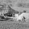 Plowing the Earth Beside the Thatched Hut - Fine Art Photography Prints, Limited Edition Photography, Museum-Quality Photography, Black and White Photography, Art Photography Prints