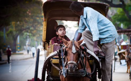 Horse-Drawn Carriage - Fine Art Photography Print, Limited Edition Photography, Museum-Quality Photography, Art Photography Print, Photography for Collectors