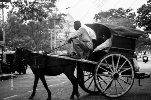 A Horse-Drawn Carriage in Morning Traffic - Fine Art Photography Prints, Limited Edition Photography, Giclée Print,  Art Photography,  Black and White Photography