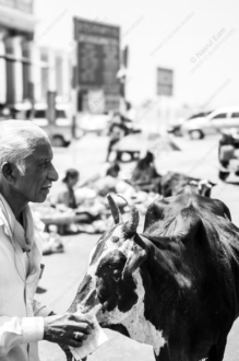 An Elder Wiping the Face of His Cow - Fine Art Photography Print, Limited Edition Photography, Documentary Photography, Black and White Photography, Art Photography for Sale