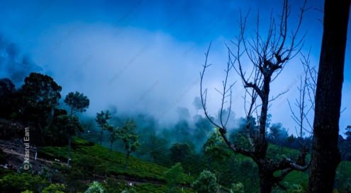 Emerald Slopes and Veiled Light