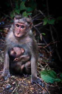 Embrace in the Forest - Fine Art Photography Print, Limited Edition Photography, Giclée Print,  Luxury Photography Art,  Art Photography for Sale