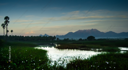 Twilight Tranquility - Fine Art Photography Prints, Limited Edition Photography Art, Luxury Photography Art, Museum-Quality Photography, Giclée Photography