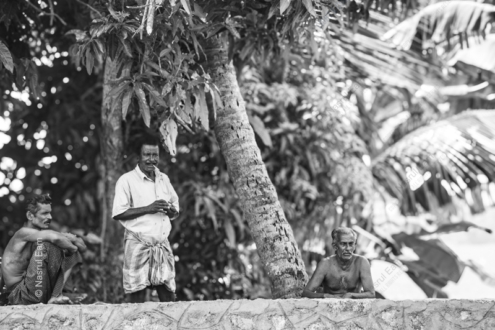 Guardians of the Riverbank - Fine Art Photography Print, Limited Edition Photography, Museum-Quality Photography,  High-End Photography Prints, Collector Photography